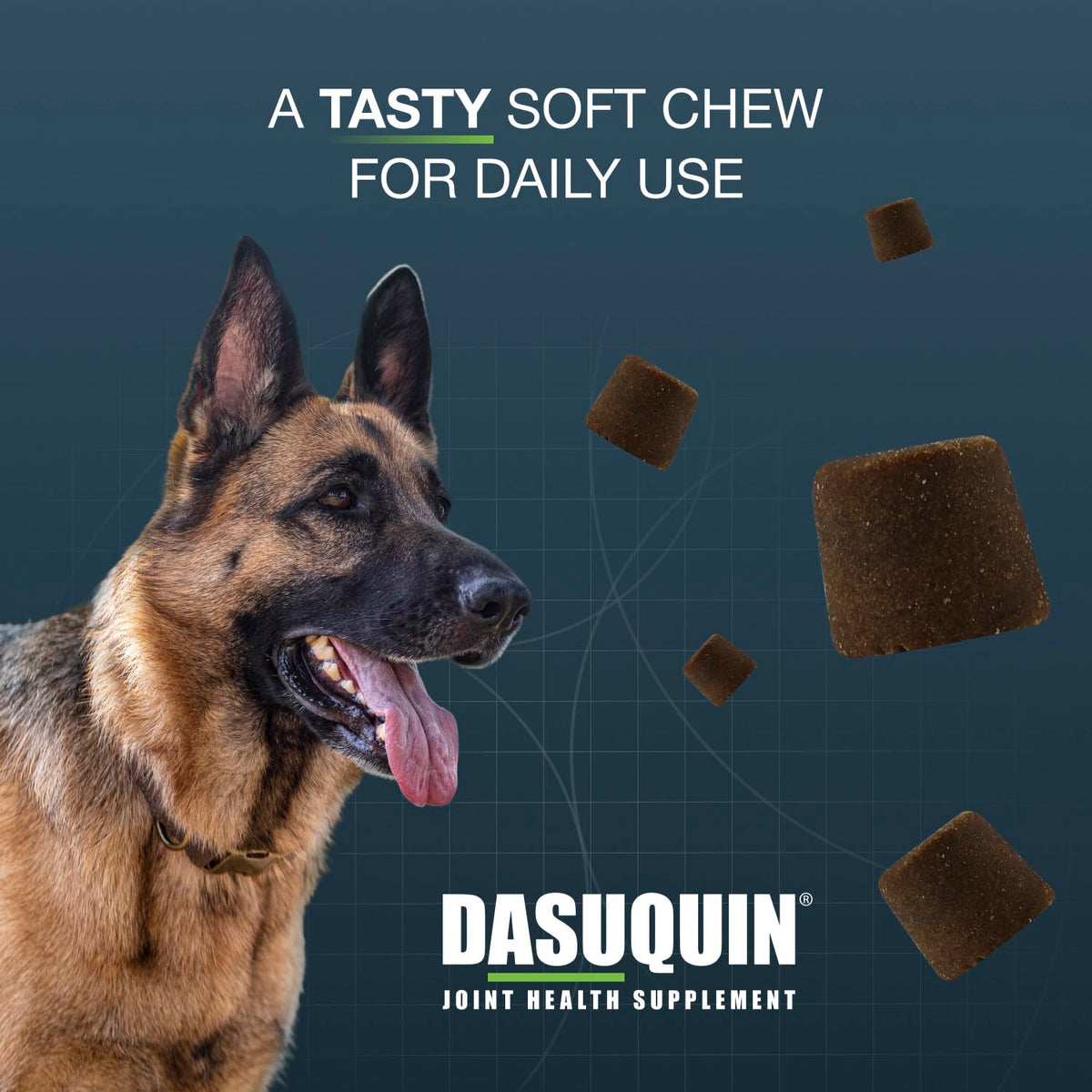 Nutramax Dasuquin MSM Joint Supplement for Large Dogs, Soft Chews, 84ct