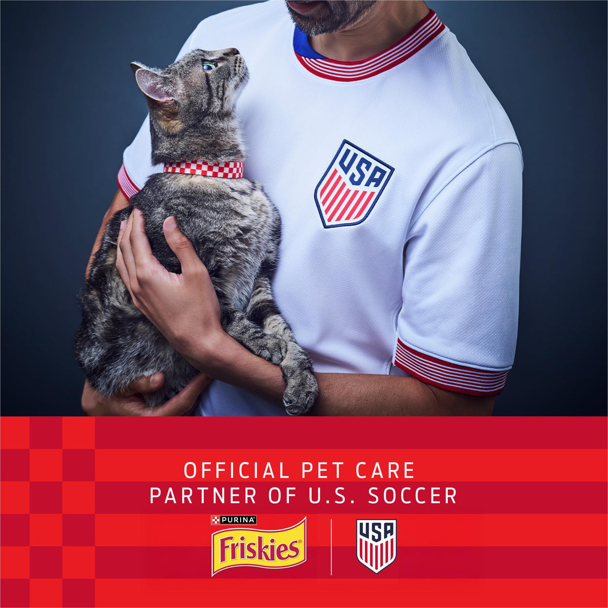 Purina Friskies Prime Filets Wet Cat Food Variety Pack, 40 × 5.5 oz